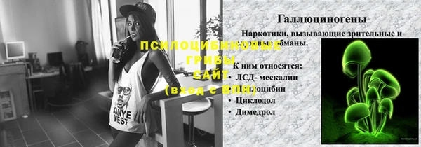меф Богородицк